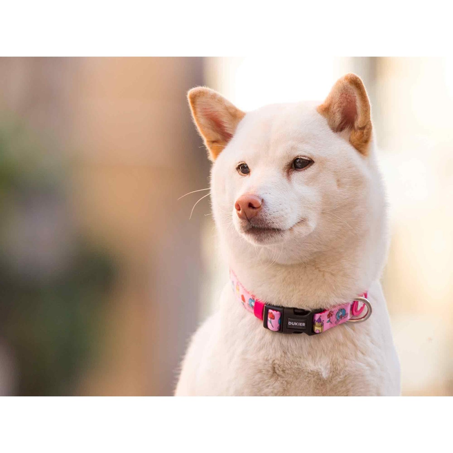 Collar para perro PRINCESS Dukier XS