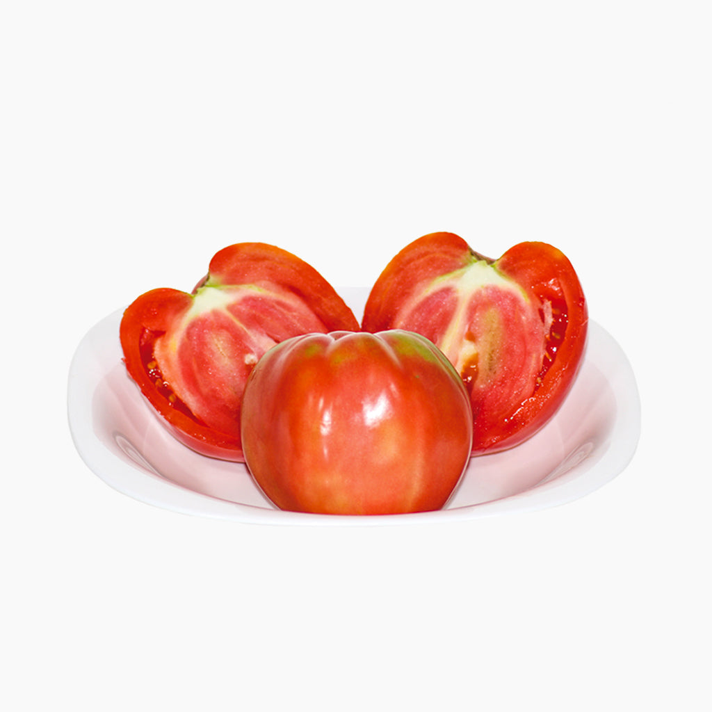 Plantón Tomate Rosa Plena 6 Unidades - Plantabo_1