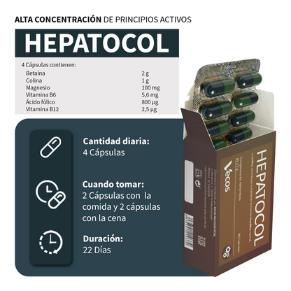 Hepatocol Vecos 90 Cápsulas | Control De Hígado Graso | Colina + Betaína_2
