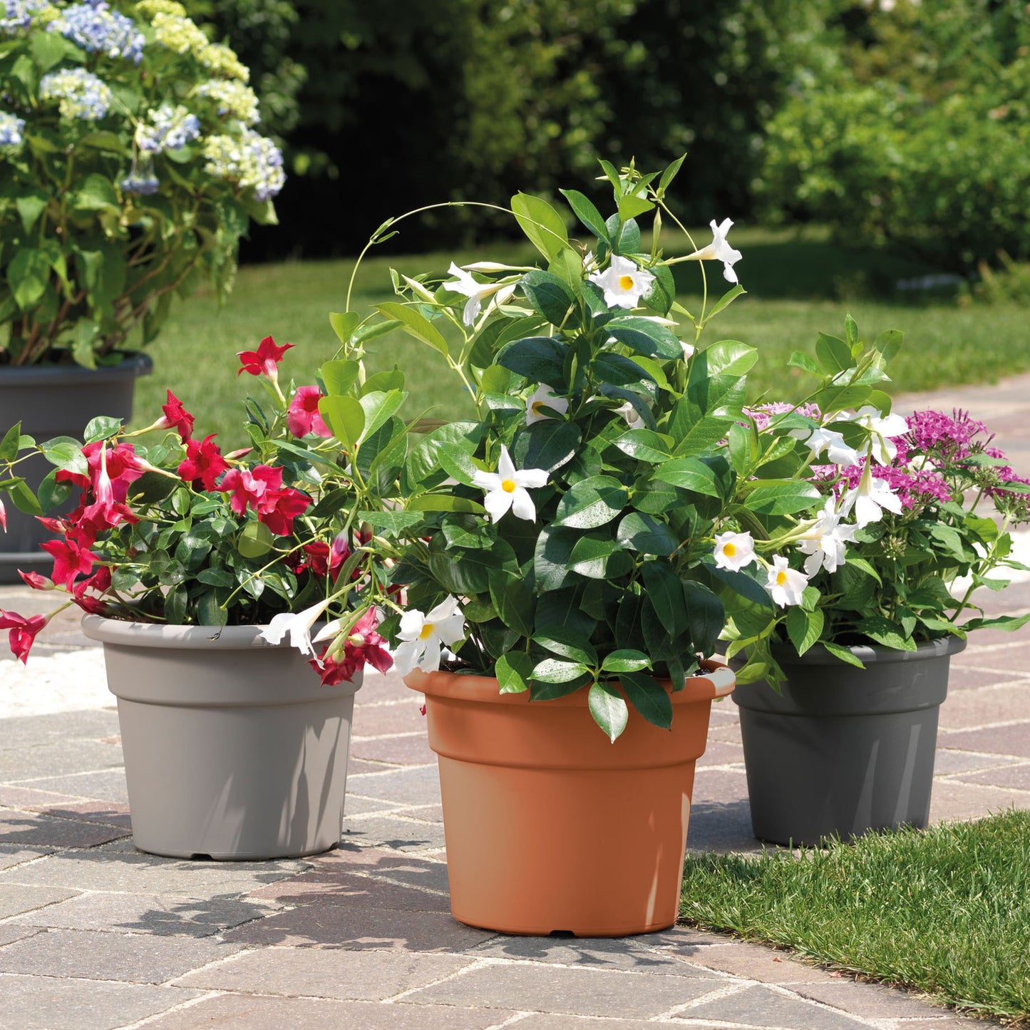 Maceta Cilíndrica Ø 22 Cm Gris_3