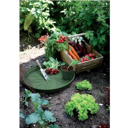 Plato tiesto Green Basics Elho Verde 22 cm