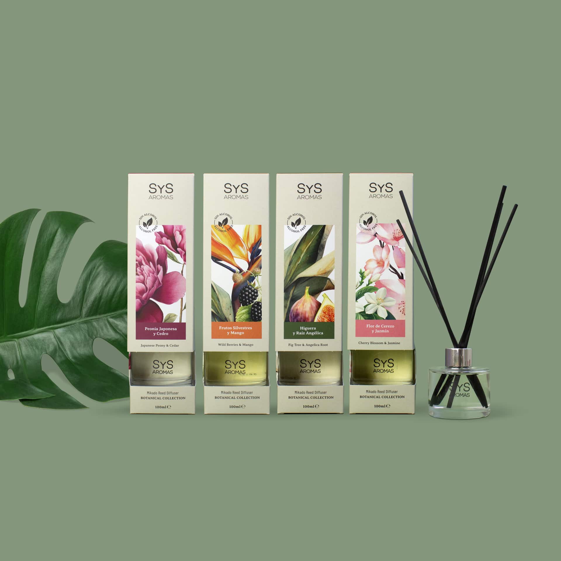 Sys Aromas Ambientador Mikado Higuera Y Raíz Angélica - Botanical - Sin Alcohol - Larga Duración - 100 Ml Con 5 Varillas_3