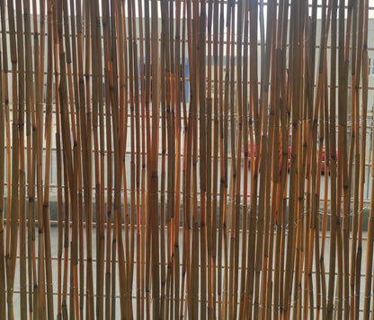 Bambú Natural| Composicion 100% Caña De Bambu| Cerramiento Natural| Cañas Cosidas Con Alambre| Ocultación 60% 1x3m_3