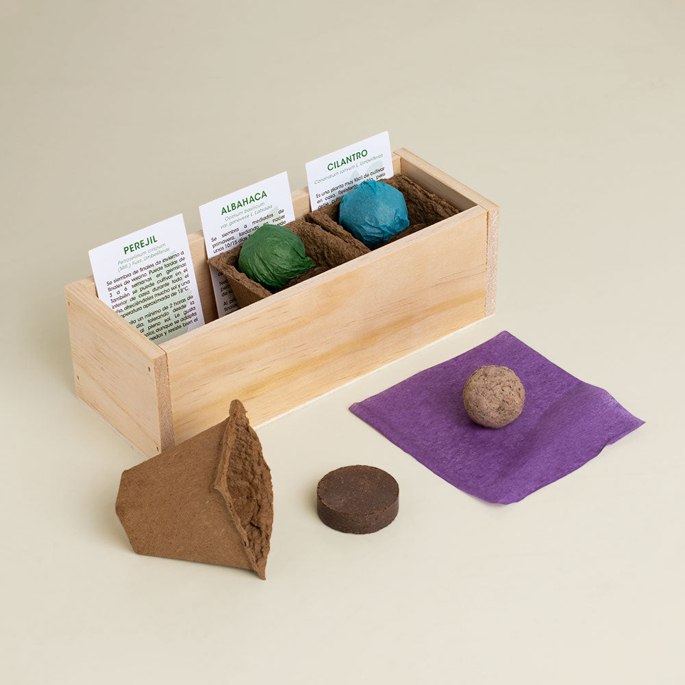 Kit Autocultivo Gourmet | Perejil, Albahaca Y Cilantro En Casa | Hierbas Frescas Para Cocina | Regalo Foodie_1