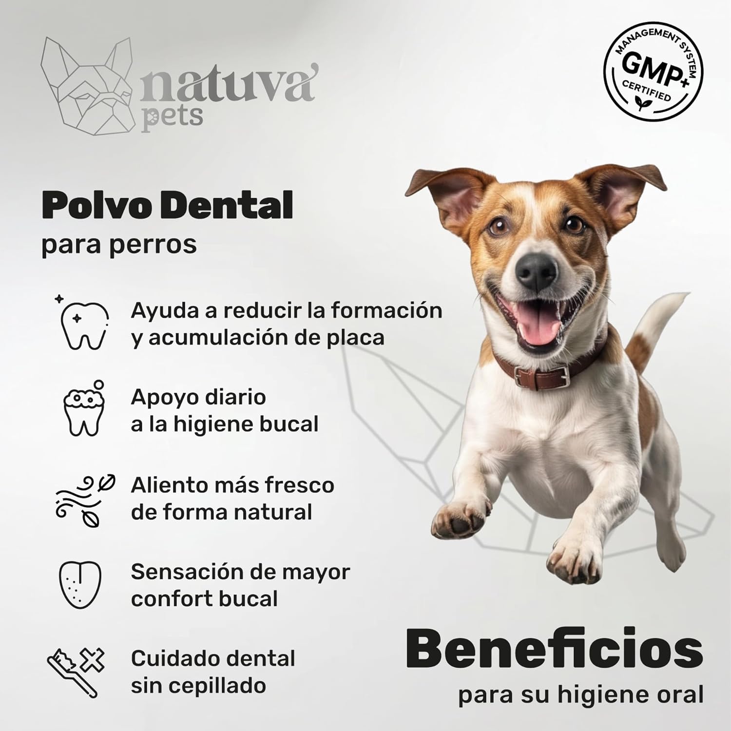 Polvo Dental Para Perros. Higiene Bucal. Suplemento Para Mascotas. 180 Gramos. Natuva Pets_1