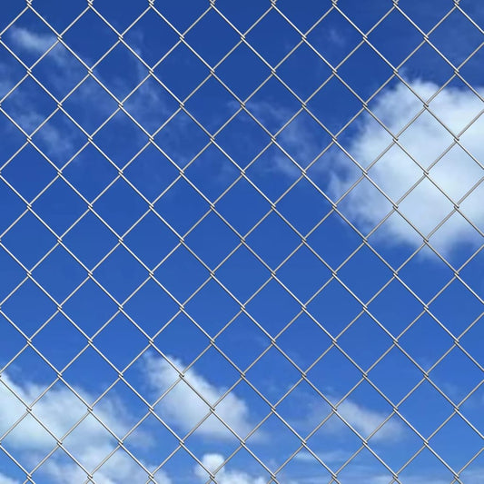 Valla De Tela Metálica Acero Galvanizado Plateado 25x1,25 M / Vetonek_0