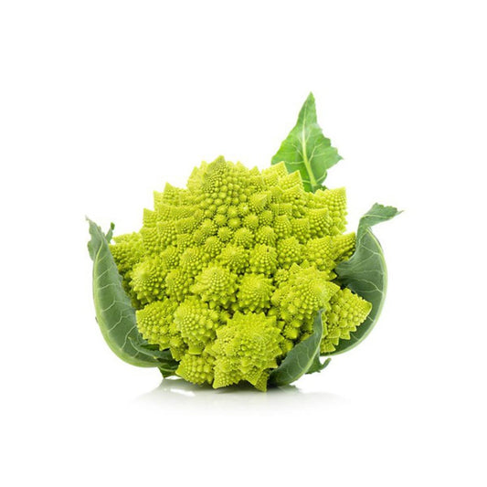 Plantón de Coliflor romanesco en maceta 11 cm