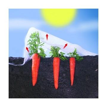 Velo de crecimiento Climatex Nortene 2 x 5 m