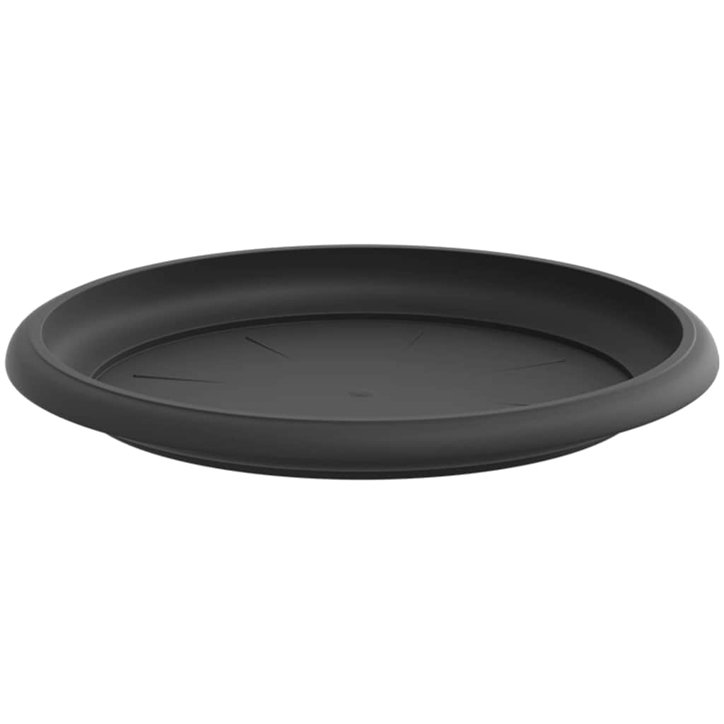 Bandeja Redonda Para Flores 6 Uds. Negro Ø 19 X 2 Cm Plástico_4