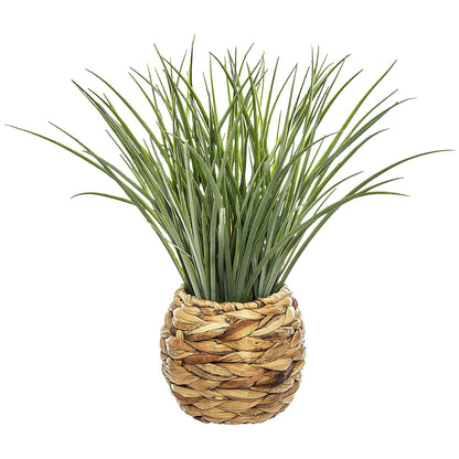 Maceta Decorativa Trenzada De Hojas De Jacinto Y Planta Decorativa_0