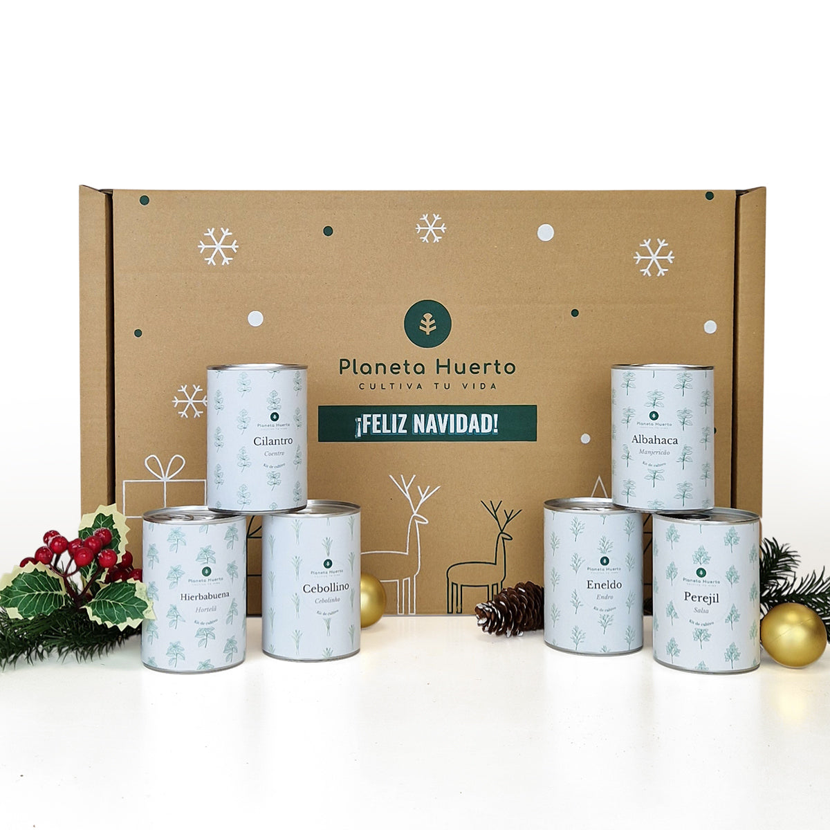 Pack Cofre Kits de cultivo aromáticas Planeta Huerto