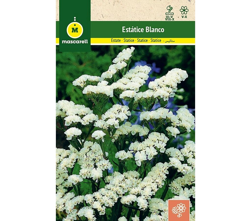 Semillas Estatice Sinuata Blanco_0