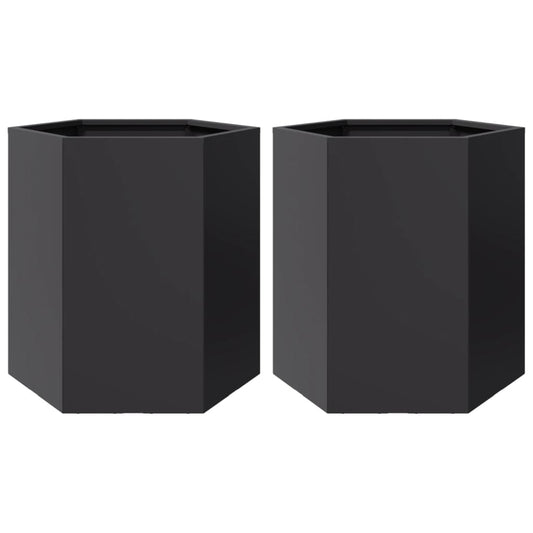 Jardineras Hexagonales 2 Uds Acero Negra 46x40x45 Cm_0