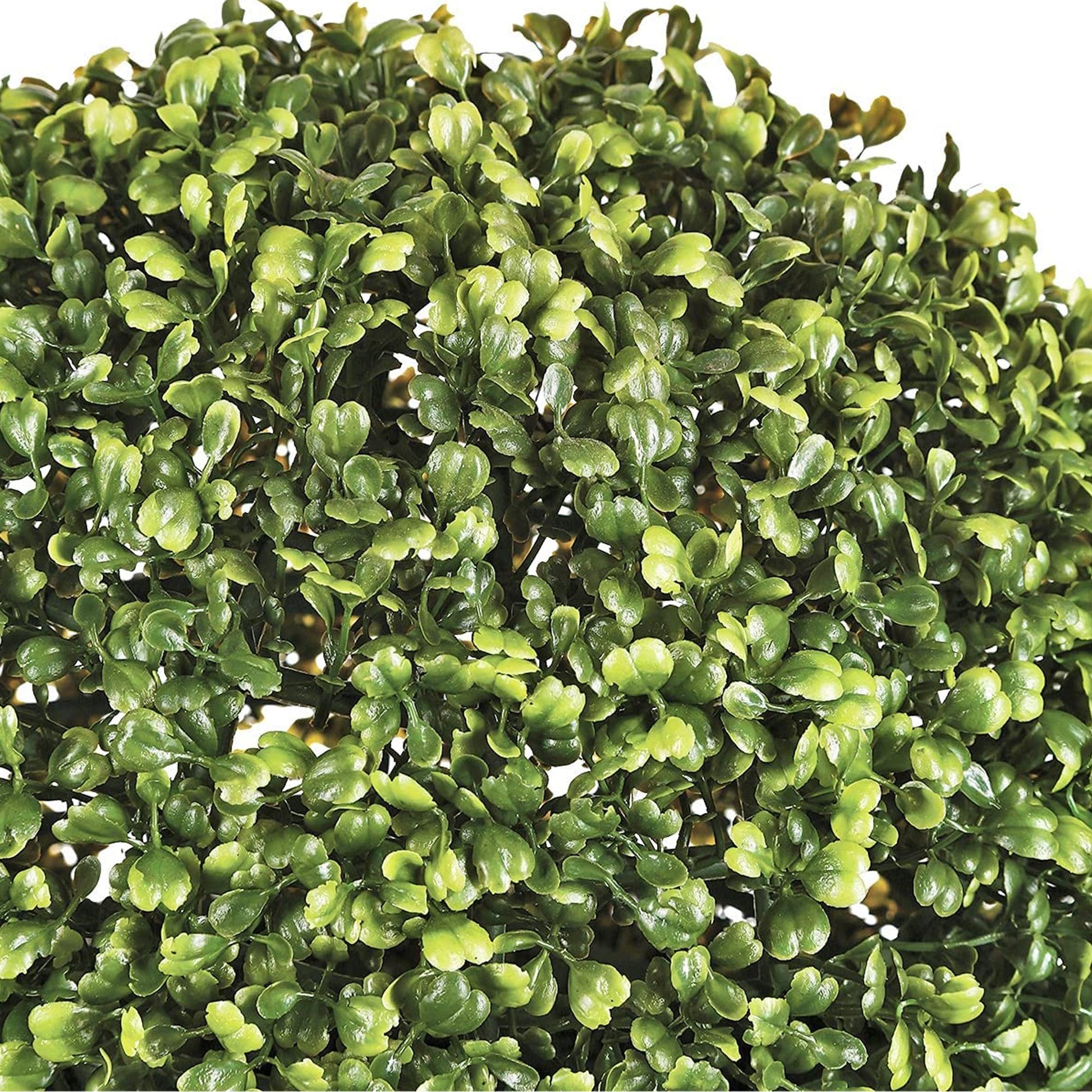 Bola De Boj Diámetro 36 Cm_2