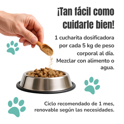 Suplemento natural para la digestión y microbiota de perros y gatos – Equilibrio de la Flora Intestinal 100 g_4