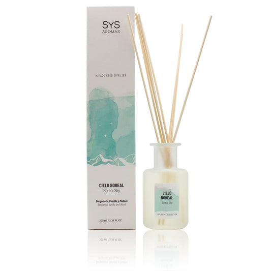 Ambientador Mikado Cielo Boreal Experience 100 Ml | Aroma Fresco y Limpio | Fragancia Duradera Con Varillas_0