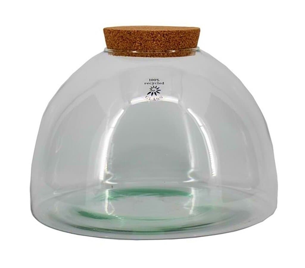 Terrario D13.5/30 H22cm Con Tapa De Corcho