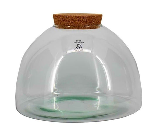 Terrario D13.5/30 H22cm Con Tapa De Corcho