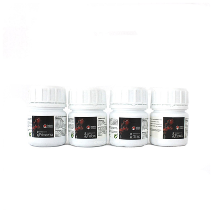 Basic Pack. Fertilizantes Lombrico Bonsái, 4x100ml_1