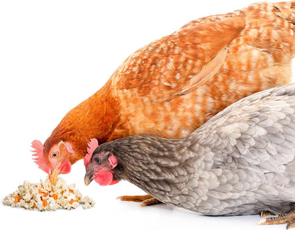 Palomitas de maíz para gallinas 100% natural a base de maíz y zanahoria, 350 G_3