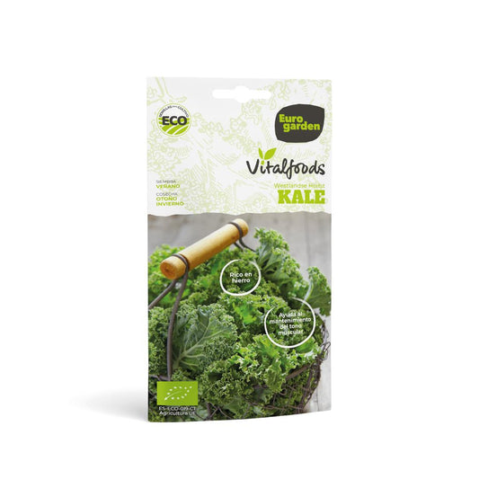 Semillas de Kale Westlande Herfst ecológicas Vitalfoods