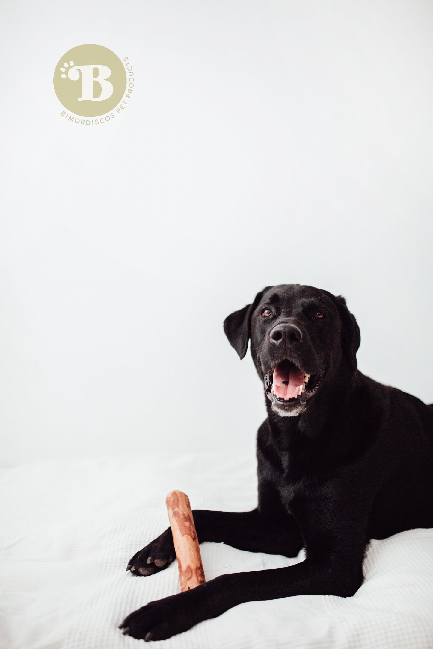 Bimordiscos Palo De Olivo Para Perros Con Aceite De Salmón Pack.