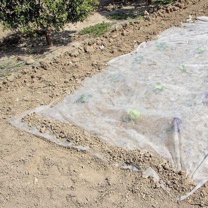 Velo de crecimiento Climatex Nortene 2 x 10 m