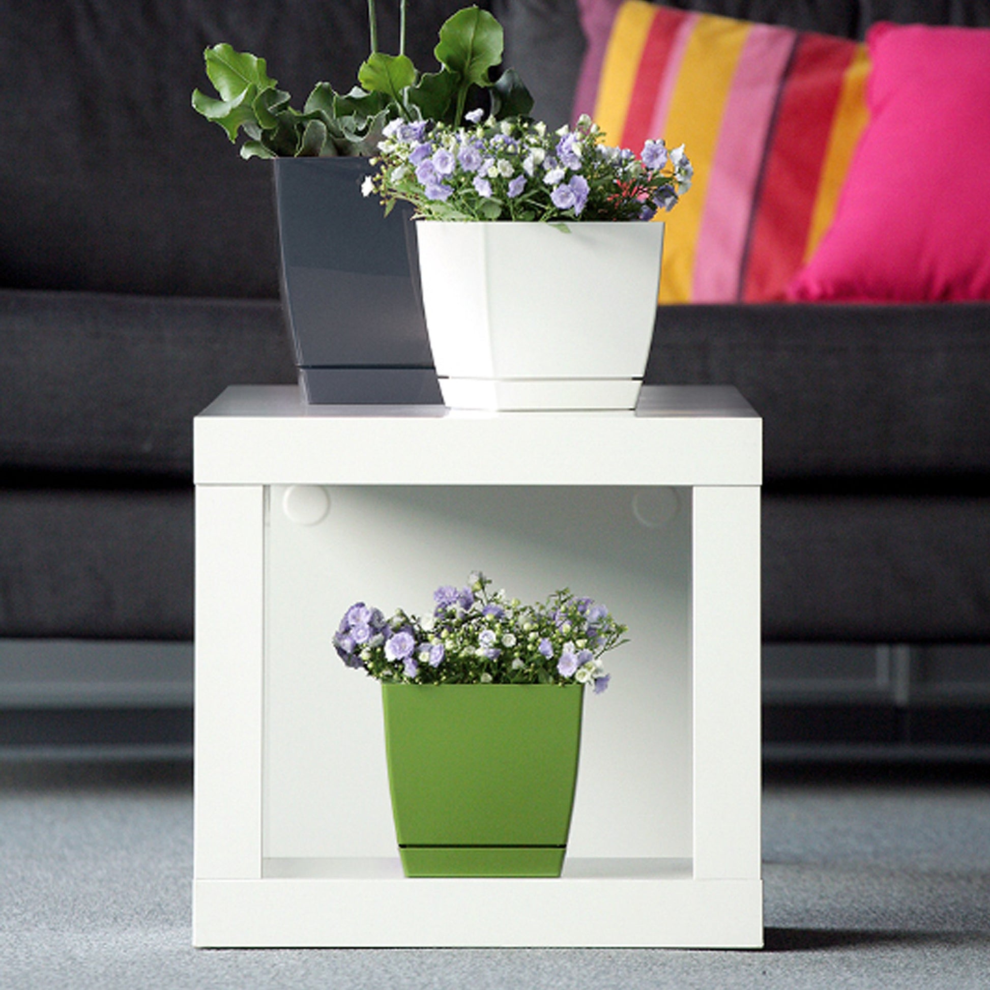 Maceta Mod. Begonya Fresh Quadro Con Plato Incluido 13,5cm. Blanco_4