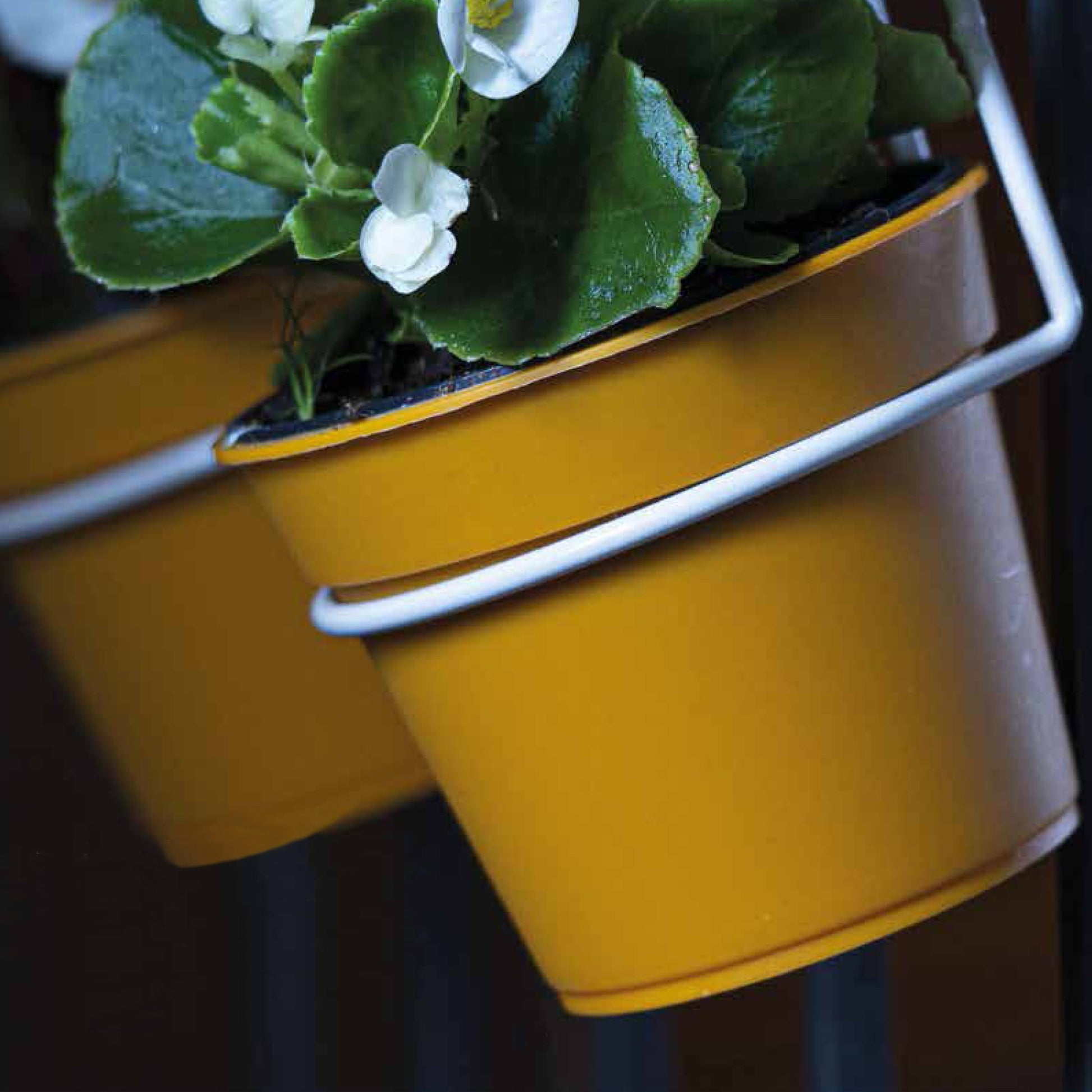 6 Macetas Cilíndricas Ø 10 Cm Con Ganchos, De Polipropileno_3