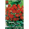 Bulbo Dalia Baby roja 1 ud