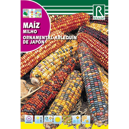 Semillas de Maíz ornamental arlequín del Japón