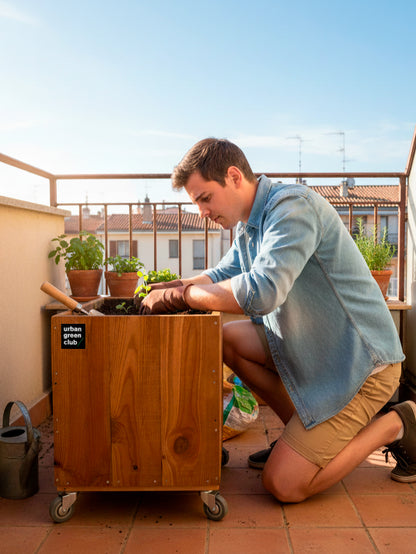 Módulo De Cultivo De Madera De Pino color Nogal Urban Green Club - 50x50x60 Cm 100 L_2