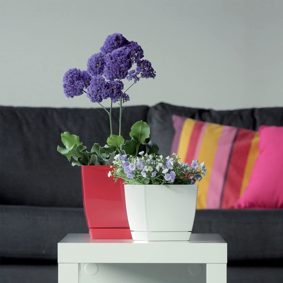 Maceta Mod. Begonya Fresh Quadro Con Plato Incluido 13,5cm. Blanco_3