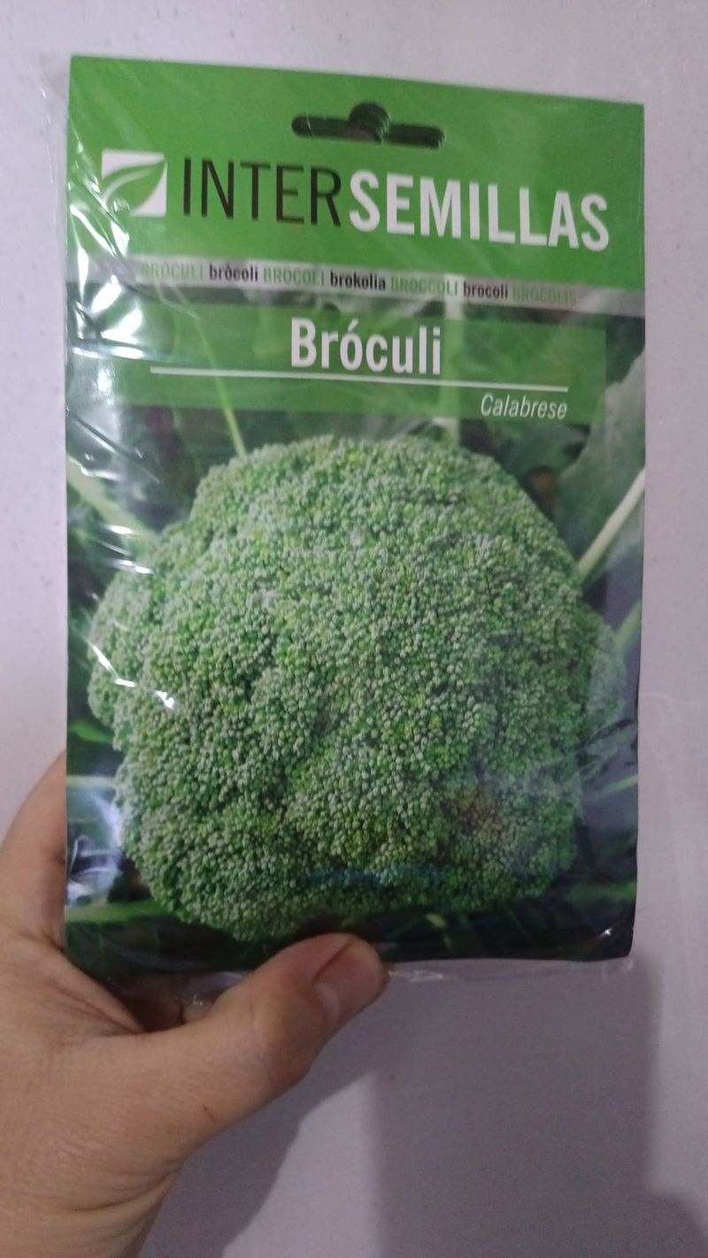 Brocoli Calabrese Sobre De Semillas Horticolas