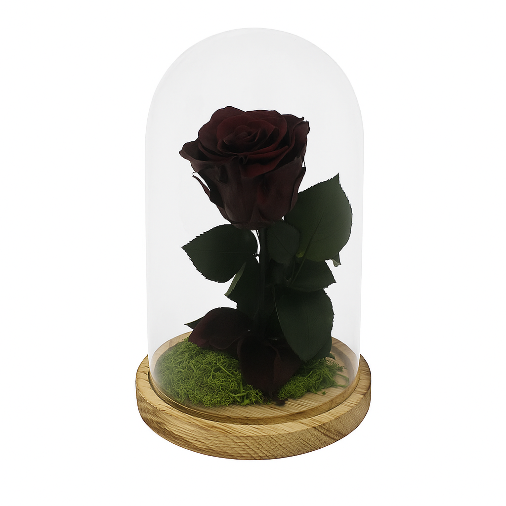 Mundo Eterno Rosa En Cúpula Burdeos 12x20cm_0