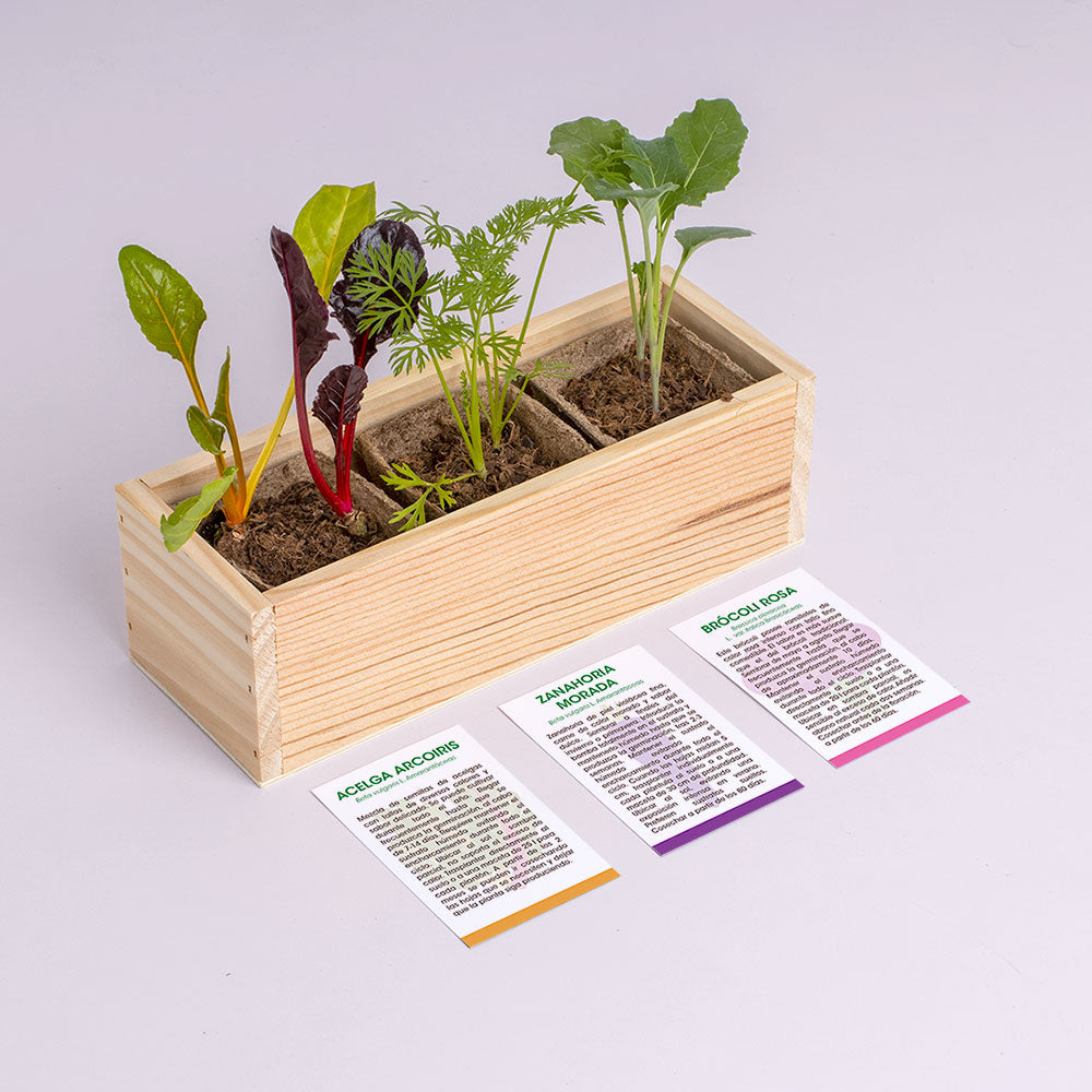 Mini Huerto De Extrañas Hortalizas (acelga Arcoíris, Zanahoria Morada Y Brócoli Rosa) | Regalo Original_2