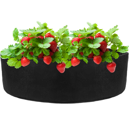 Bolsa De Cultivo Y Crecimiento De Plantas 125x30cm 3 Unidades_2