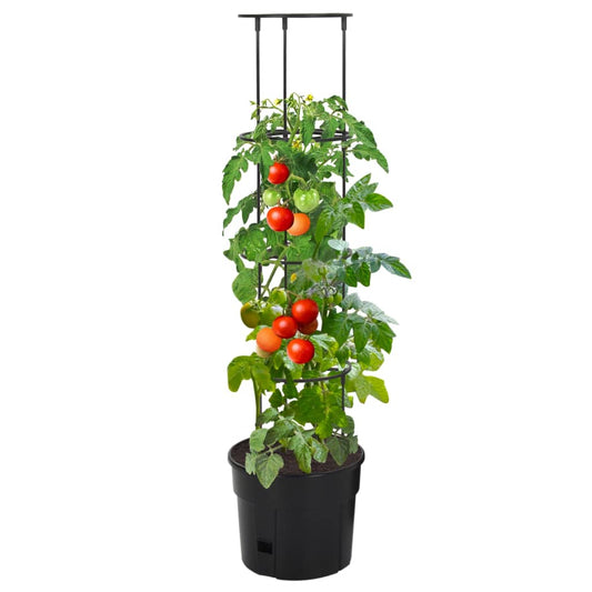 Macetero Para Tomates Polipropileno Antracita Ø29,5x115 Cm_0
