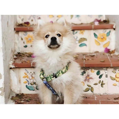 Arnés clásico para perro CAMO Dukier L
