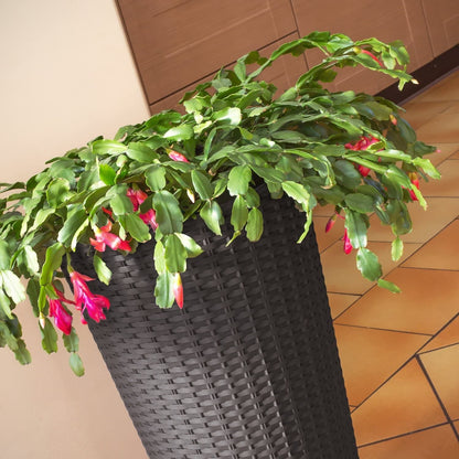 Maceta Rato De 64 Litros Con Inserto 40 X 40 X 76,3 Cm En Color Ocre Oscuro_4