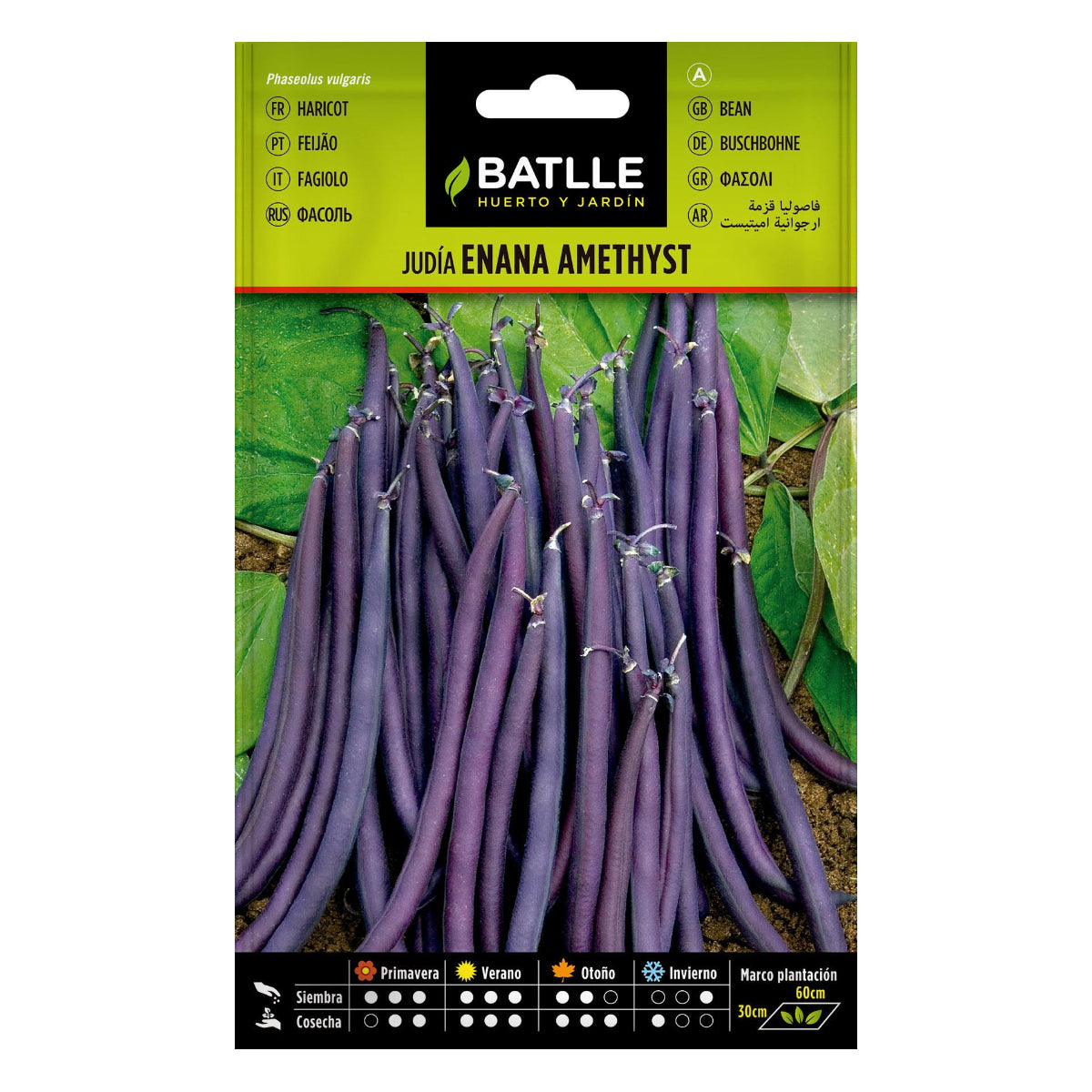 Semillas de Judía Enana Violeta Amethyst 25 g Batlle