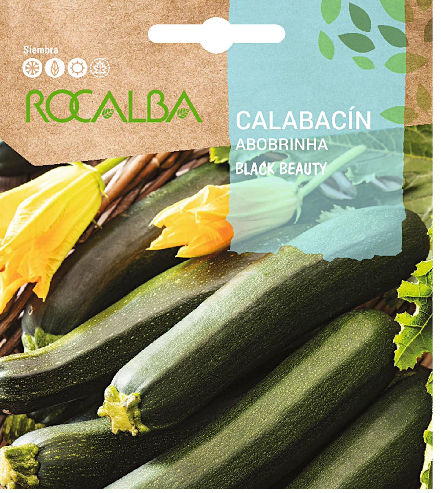 Semillas Calabacín Black Beauty 25g_0