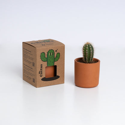 Mr. Cactus | Kit De Cultivo De Cactus Con Maceta De Barro Artesanal_2