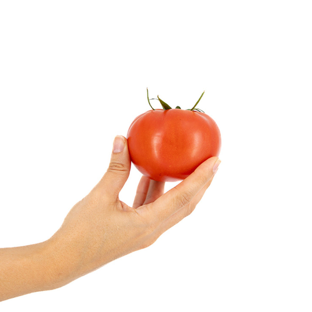 Tomate Beef 4kg Granada La Palma_2