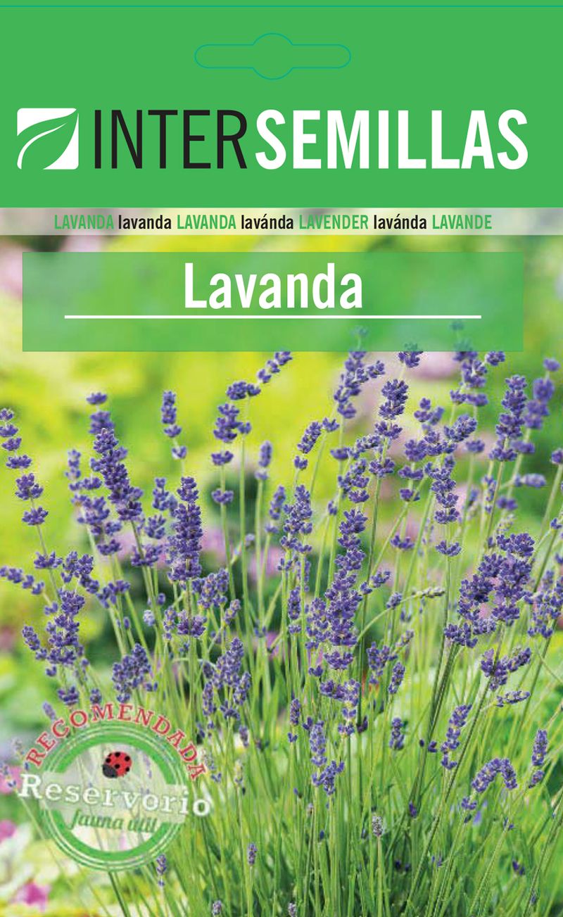 Sobre De Semillas De Lavanda