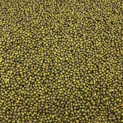 Soja Verde Ecológica Granel 5 Kg_2