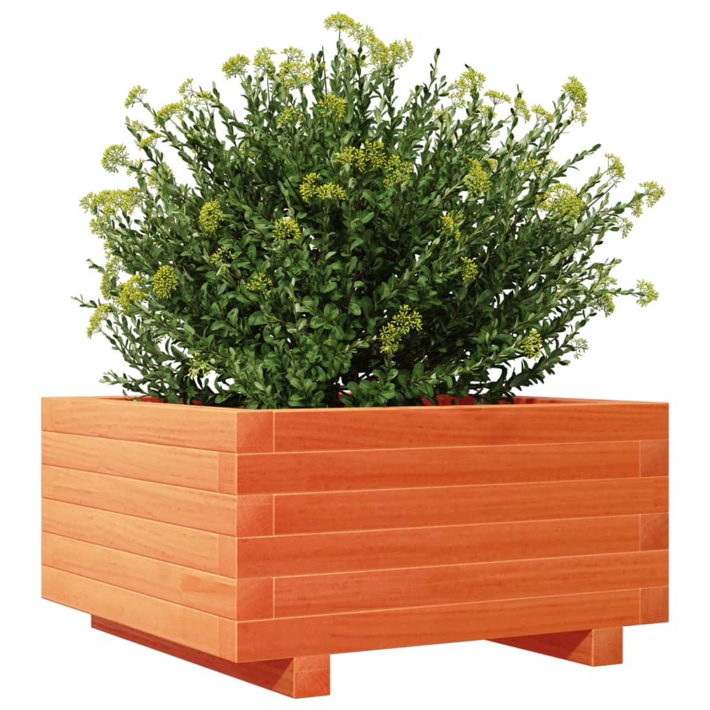 Jardinera Madera Maciza De Pino Marrón Cera 50x50x26,5 Cm_3