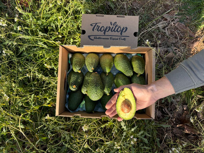 Aguacates Hass Ecológico De Temporada Tropitop 9kg_1