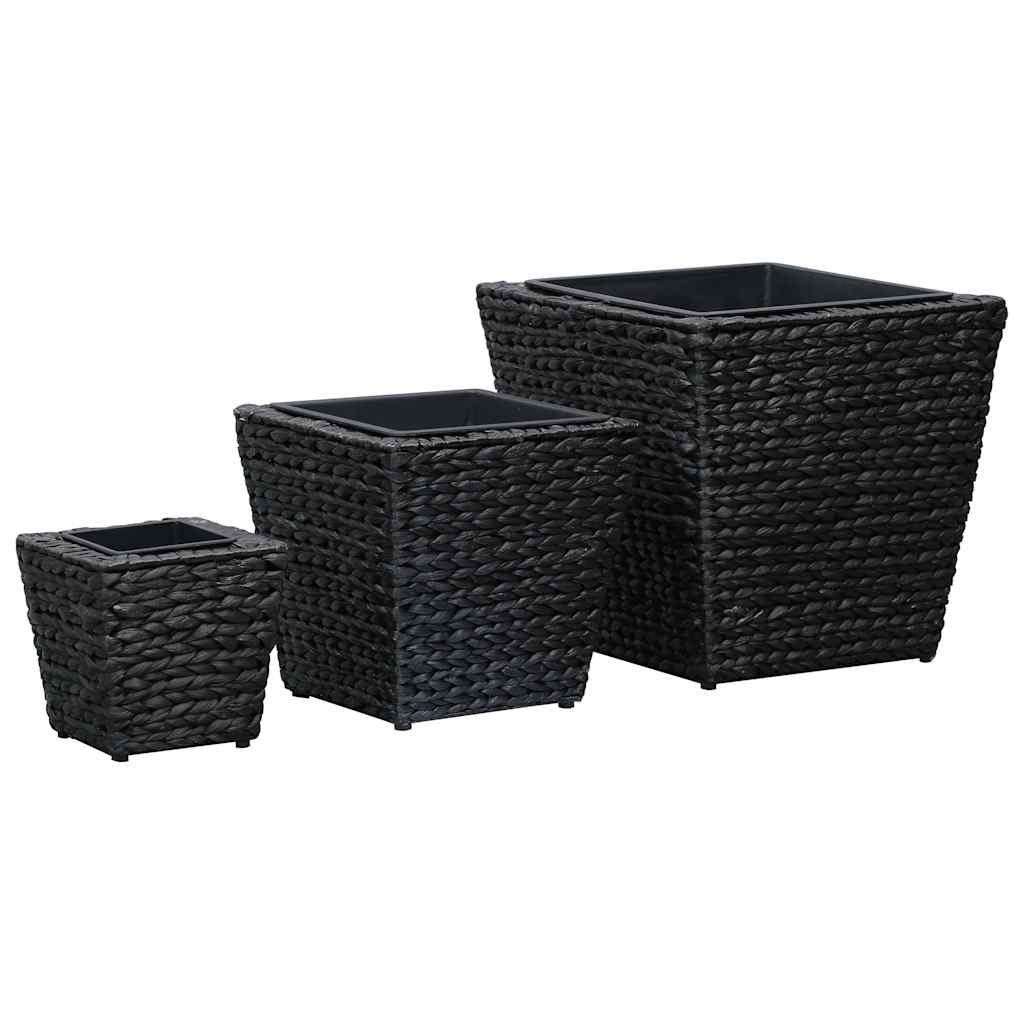Conjunto De Arriates 3 Piezas Jacinto De Agua Negro_1