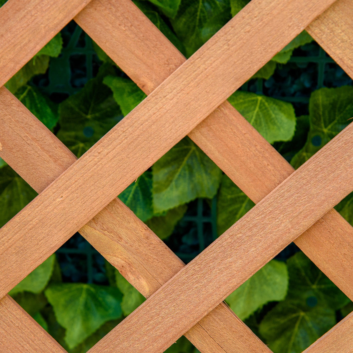 Jardinera Con Enrejado Outsunny Madera De Abeto Marrón 70x28x117 Cm_3